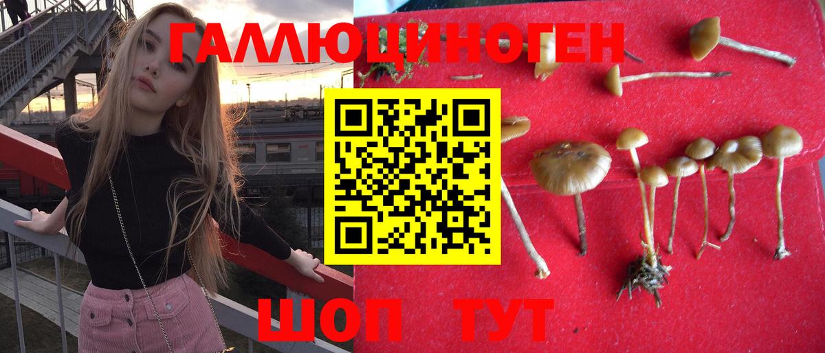 Псилоцибиновые грибы ЛСД  наркотики  Кашира  Псилоцибиновые грибы Magic Shrooms  Вход с VPN 