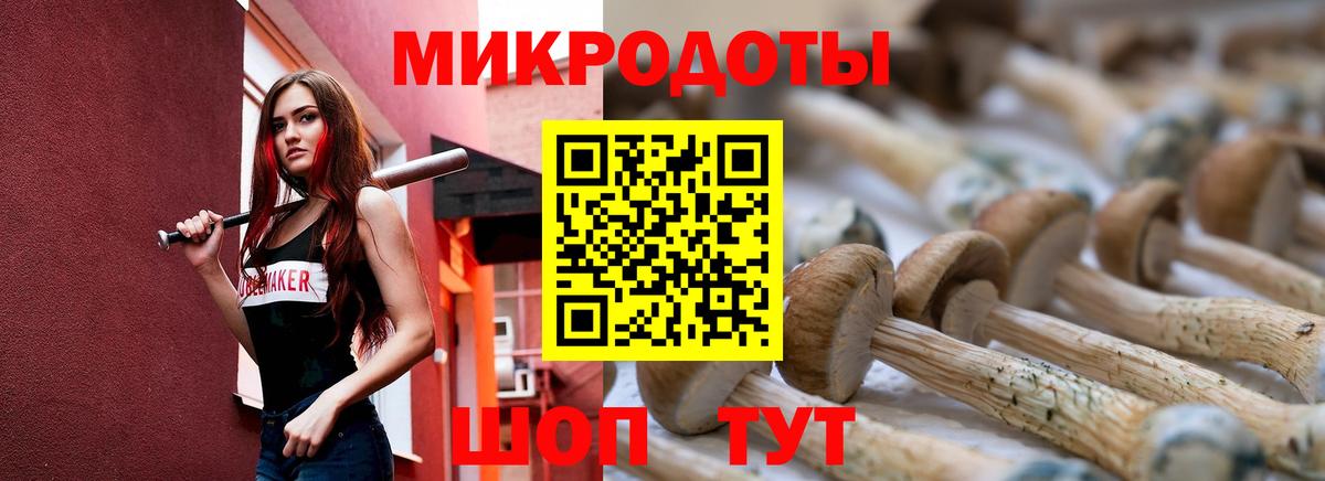 Псилоцибиновые грибы прущие грибы Кашира